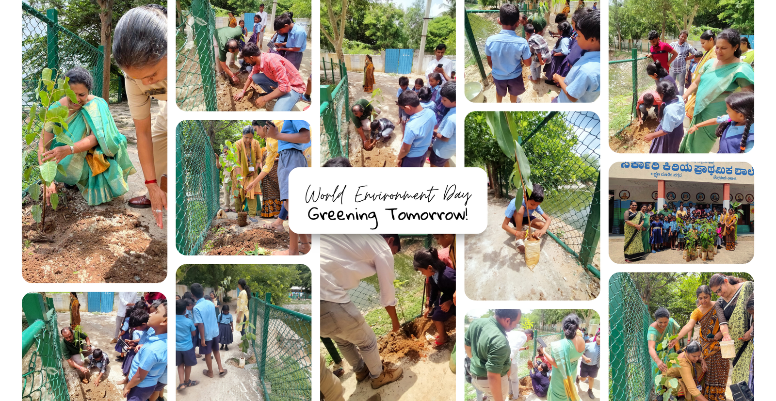 World Environment Day Plantation Drive