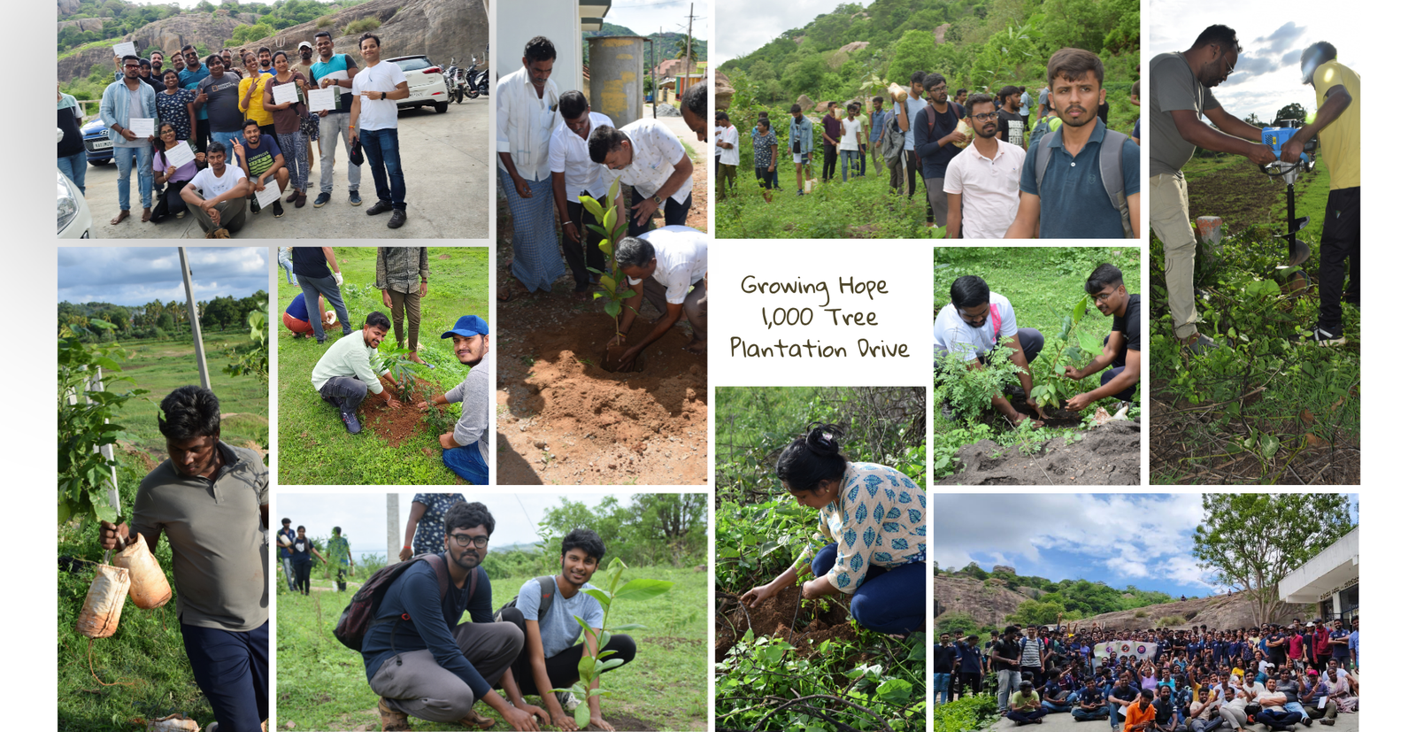1000+ Trees Plantation Drive
